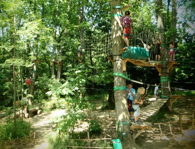 Parcours acrobatique dans les arbres proche de Pau